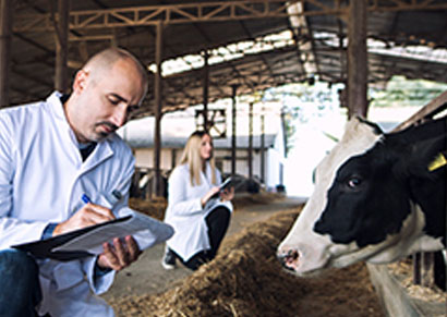 Animal Health Video