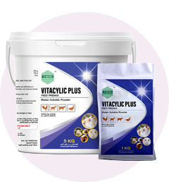 ZNSN Products