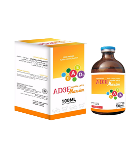 VITACETAM
